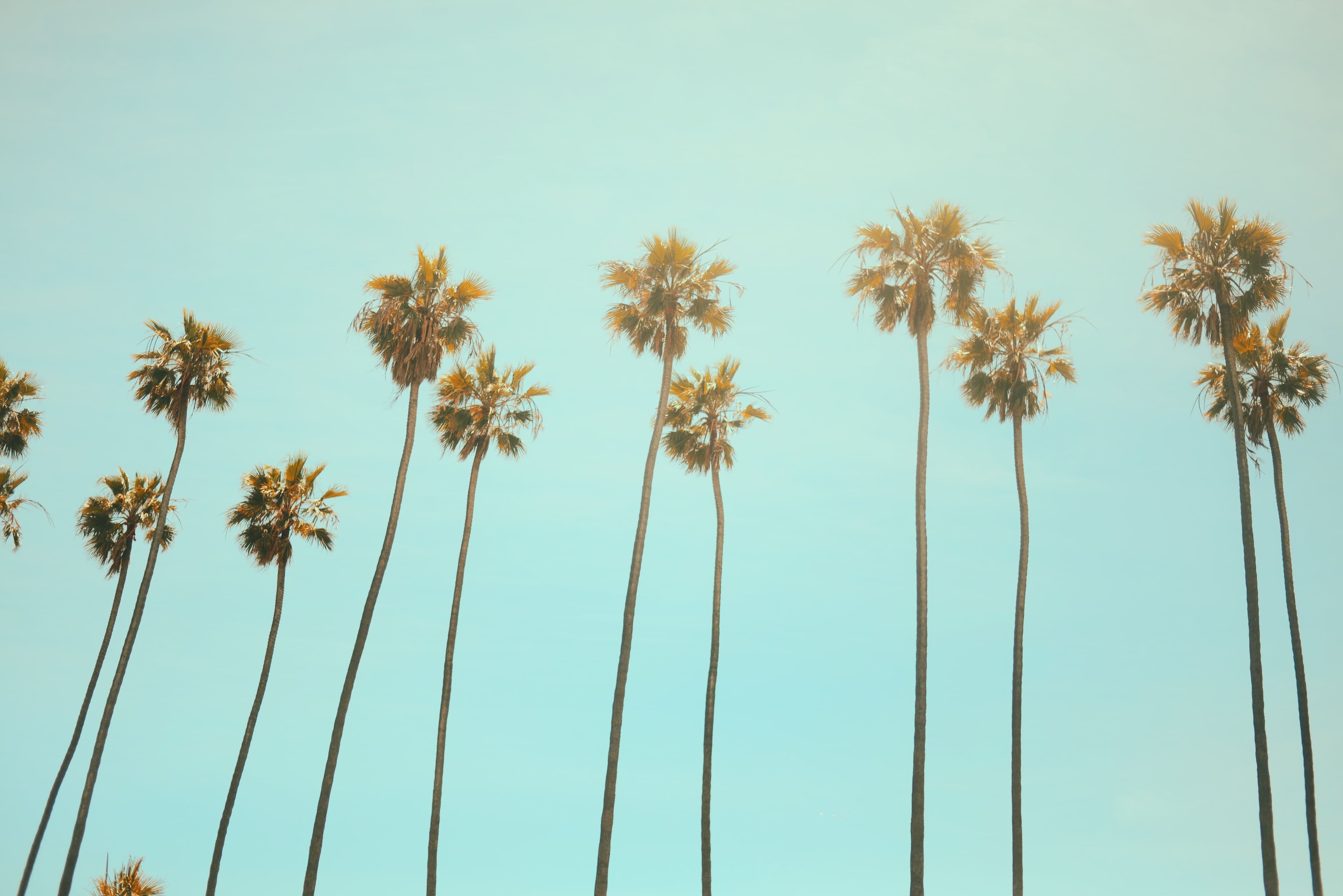 Bilde av Los Angeles