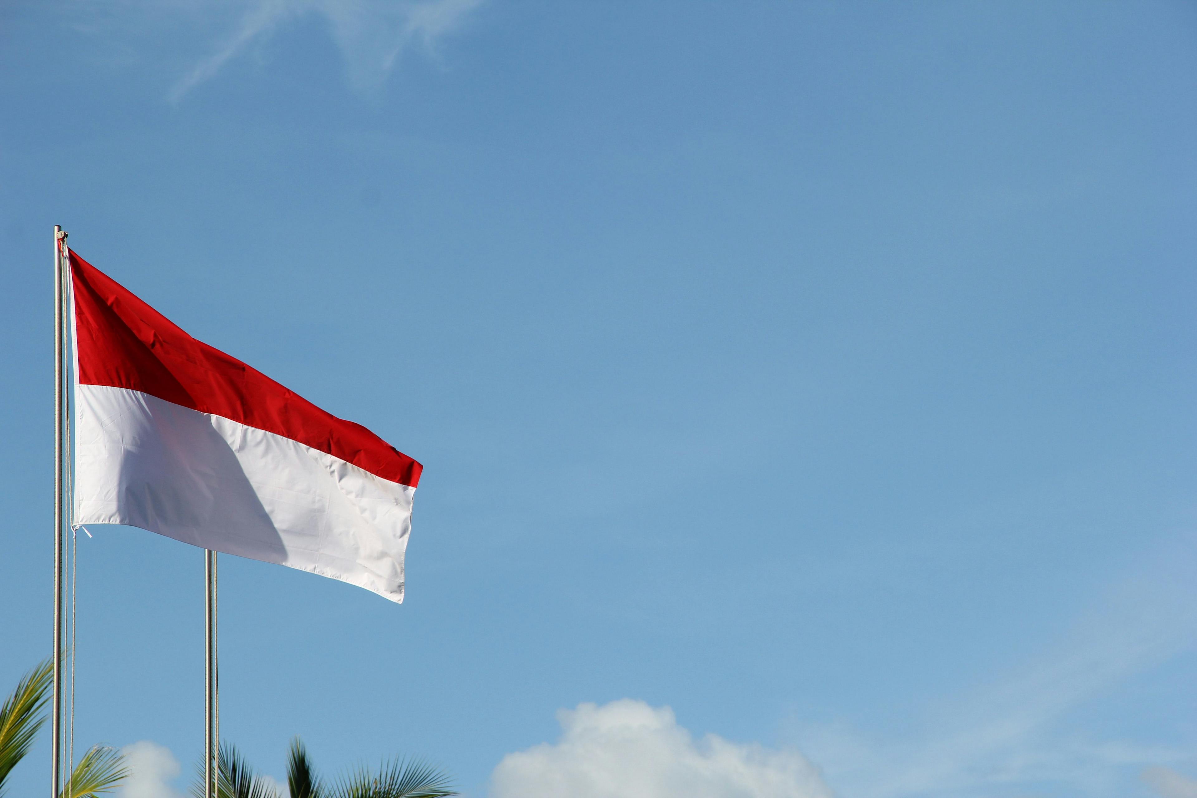 Indonesia flagg